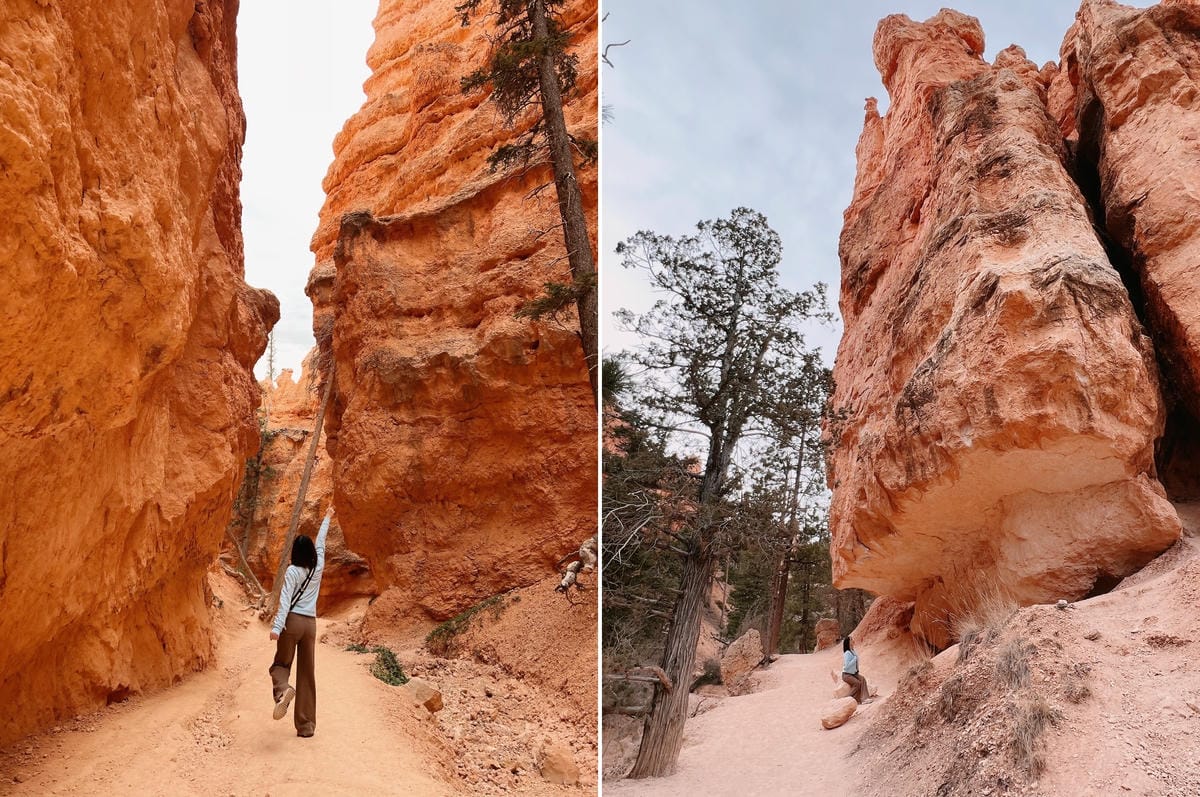 布萊斯峽谷國家公園 Bryce Canyon National Park 布萊斯峽谷國家公園 Bryce Canyon National Park