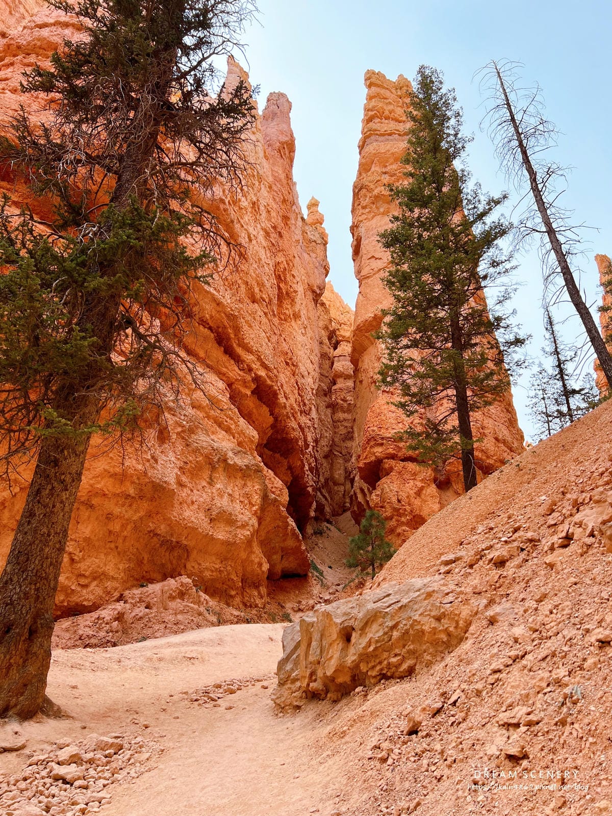 布萊斯峽谷國家公園 Bryce Canyon National Park 布萊斯峽谷國家公園 Bryce Canyon National Park