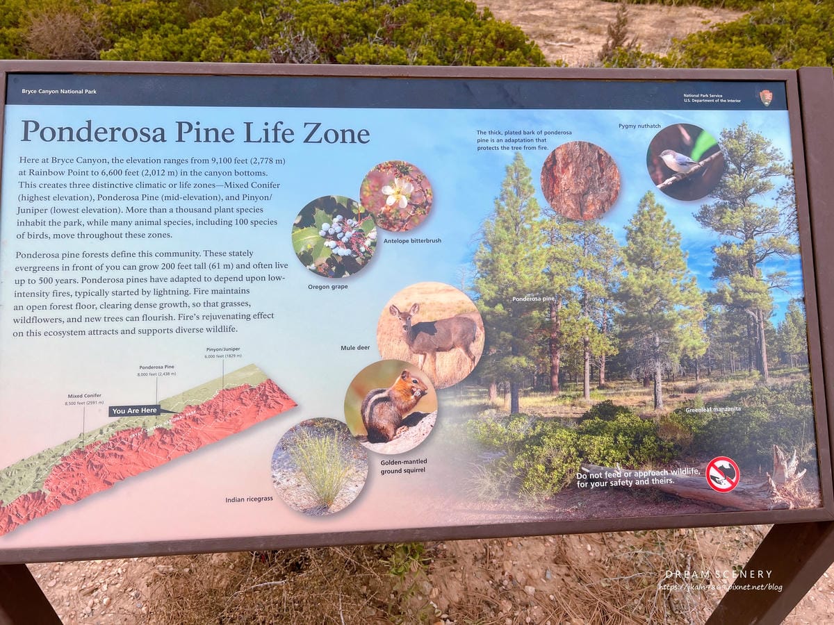 布萊斯峽谷國家公園 Bryce Canyon National Park 布萊斯峽谷國家公園 Bryce Canyon National Park