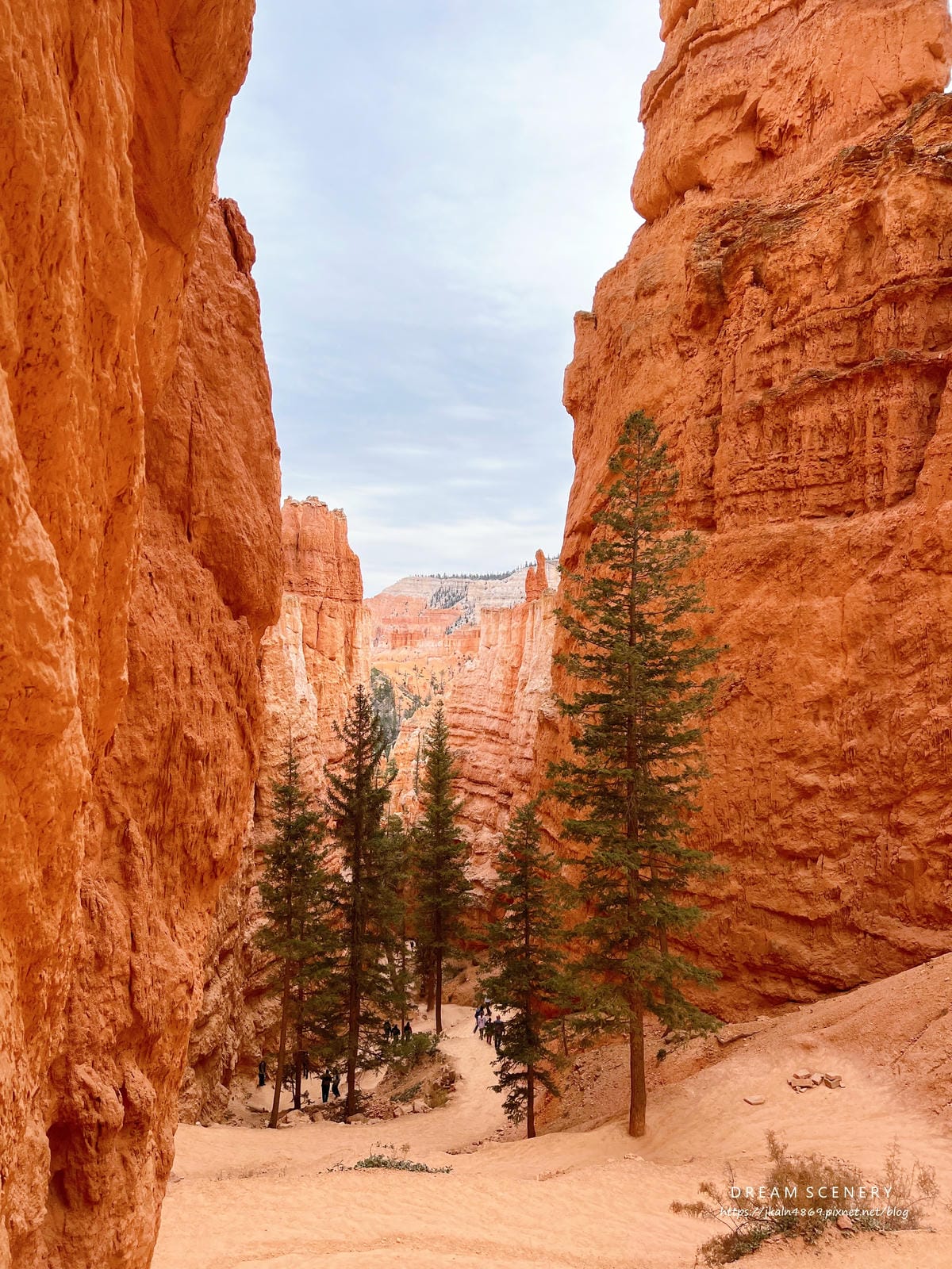 布萊斯峽谷國家公園 Bryce Canyon National Park 布萊斯峽谷國家公園 Bryce Canyon National Park