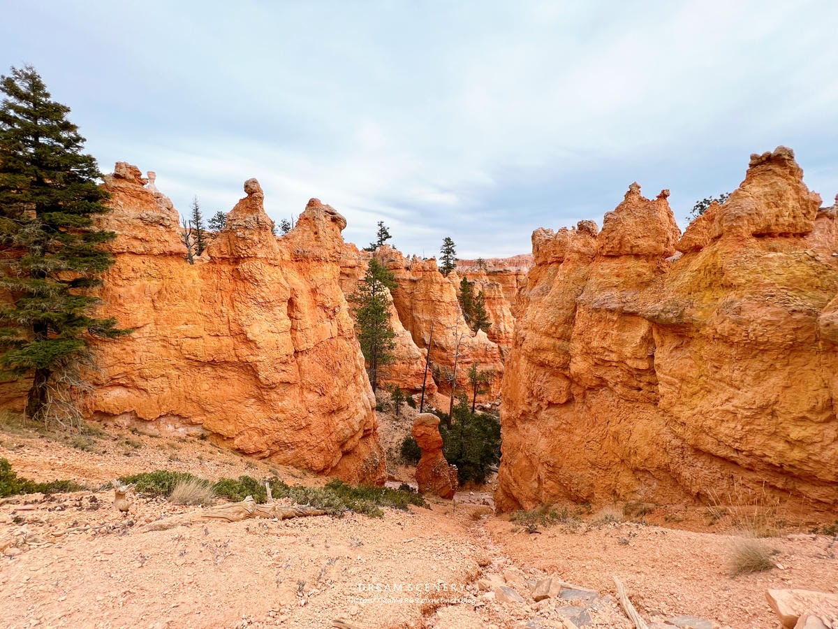 布萊斯峽谷國家公園 Bryce Canyon National Park 布萊斯峽谷國家公園 Bryce Canyon National Park