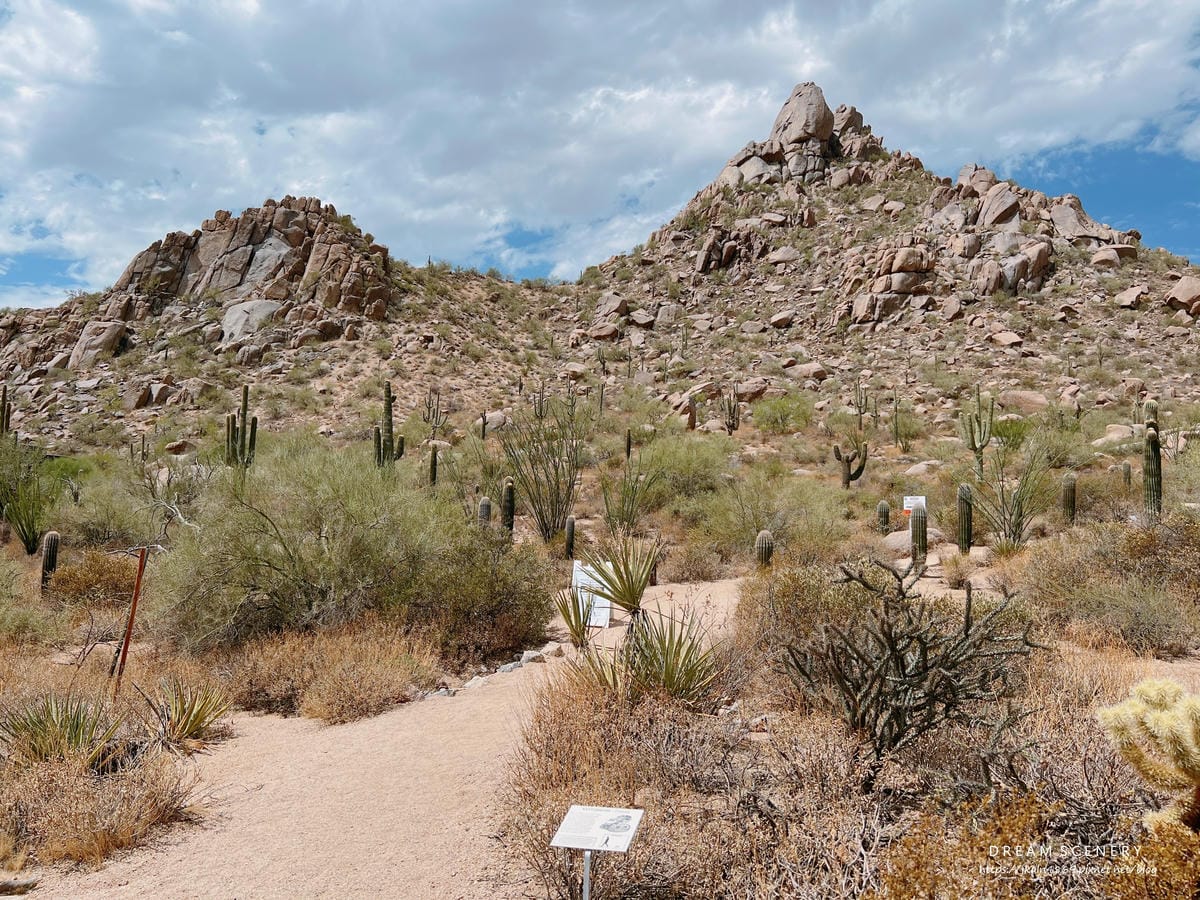 【美國-Arizona】 健行公園│ Pinnacle Pe 【美國-Arizona】 健行公園│ Pinnacle Pe
