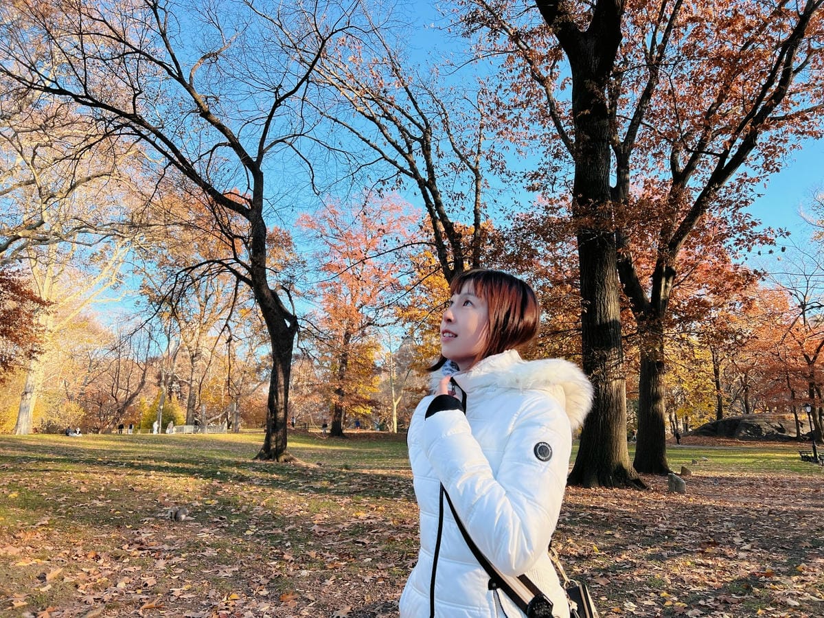 中央公園 Central Park 中央公園 Central Park
