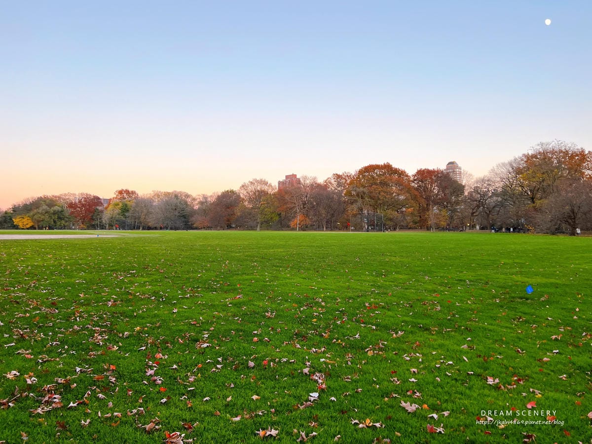 中央公園 Central Park 中央公園 Central Park