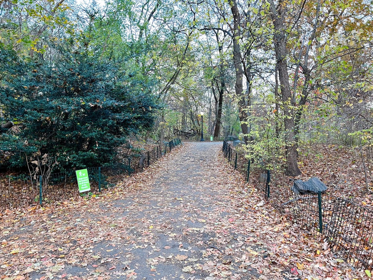 中央公園 Central Park 中央公園 Central Park