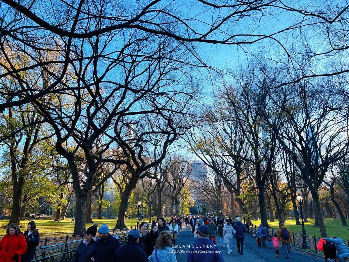 中央公園 Central Park 中央公園 Central Park