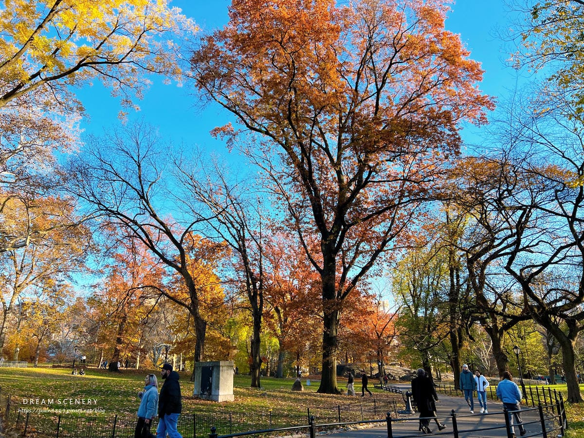 中央公園 Central Park 中央公園 Central Park