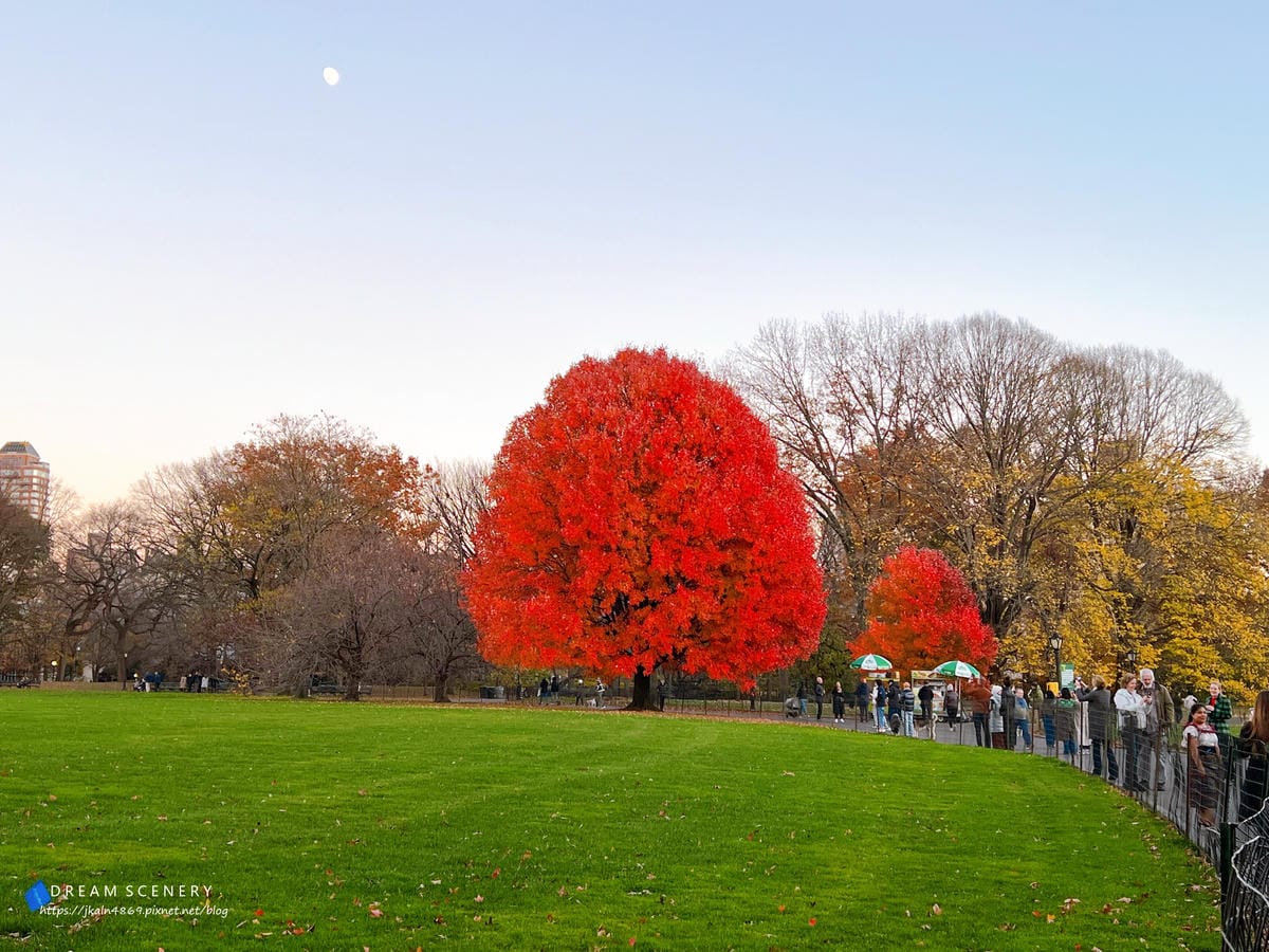 中央公園 Central Park 中央公園 Central Park