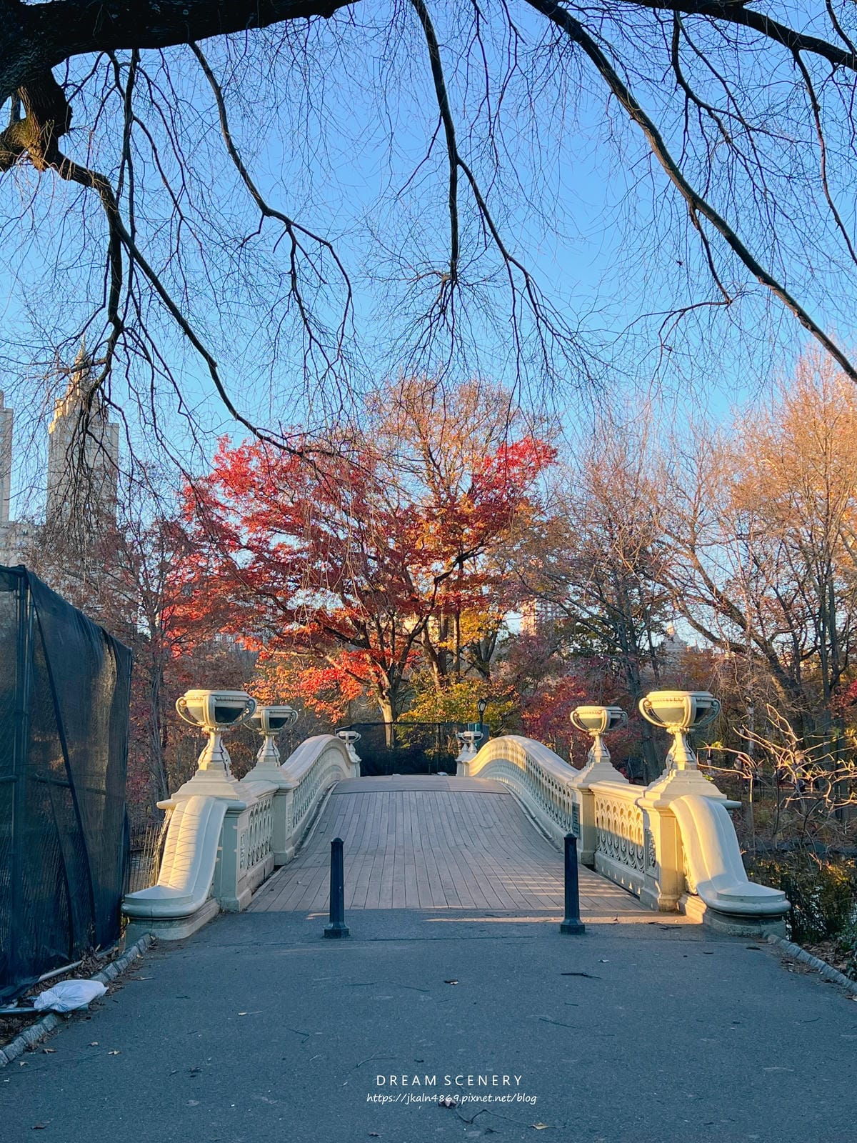 中央公園 Central Park 中央公園 Central Park