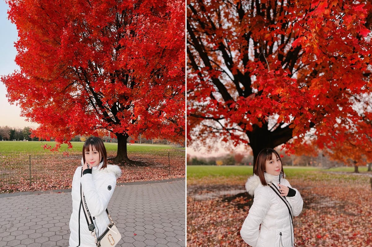 中央公園 Central Park 中央公園 Central Park