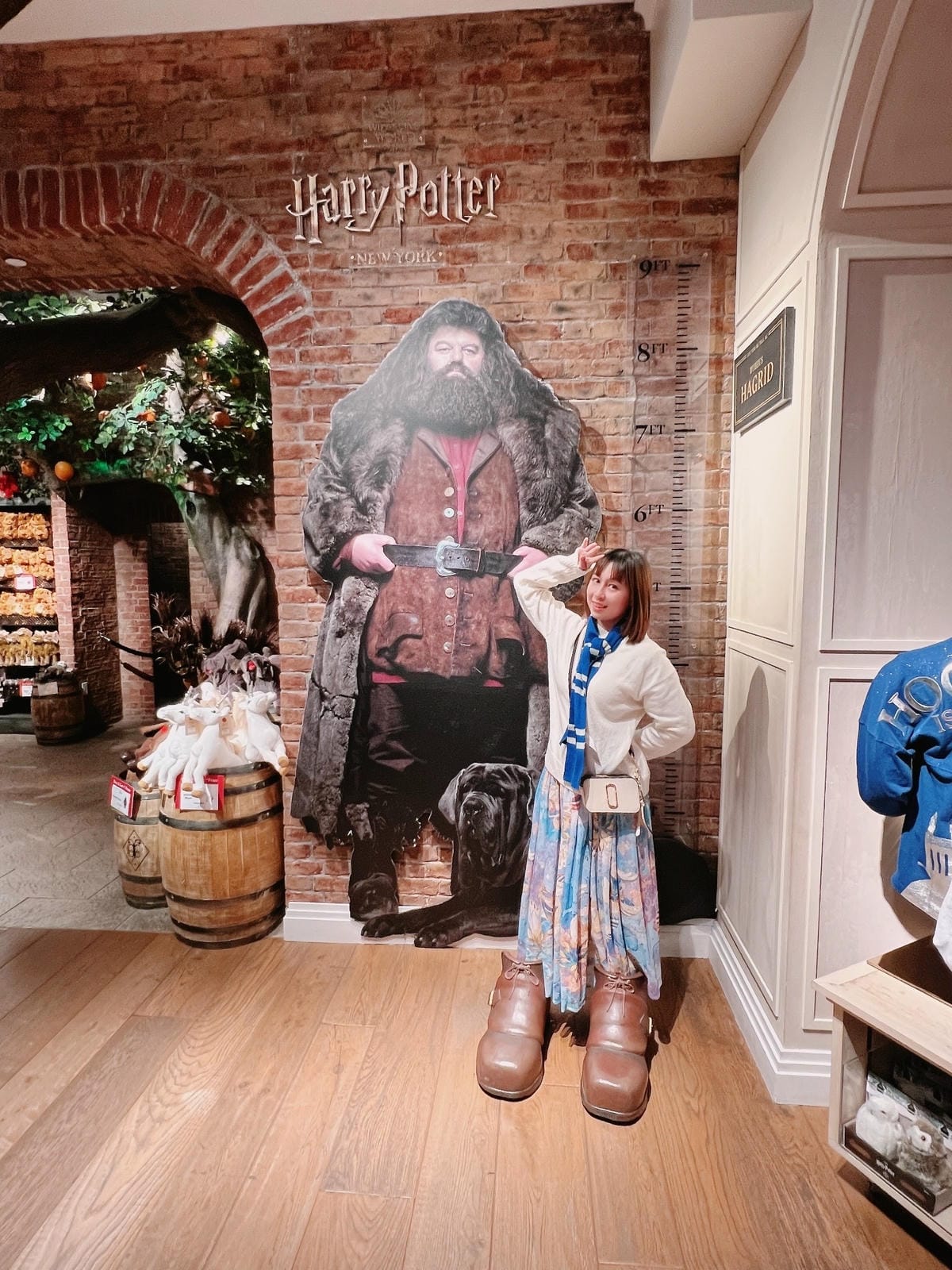 【美國-New York】紐約哈利波特旗艦店免費領取紀念品 【美國-New York】紐約哈利波特旗艦店免費領取紀念品