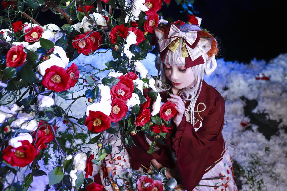 雪中椿花 雪中椿花