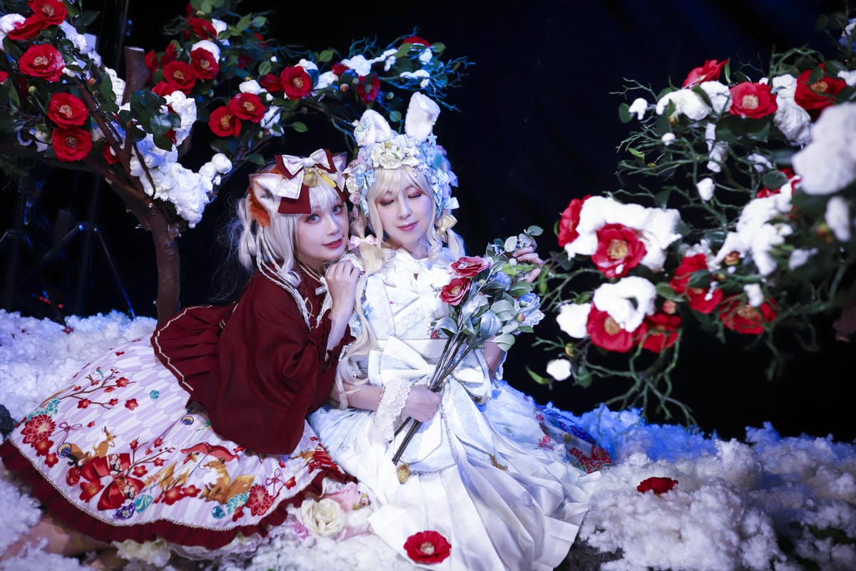 雪中椿花 雪中椿花