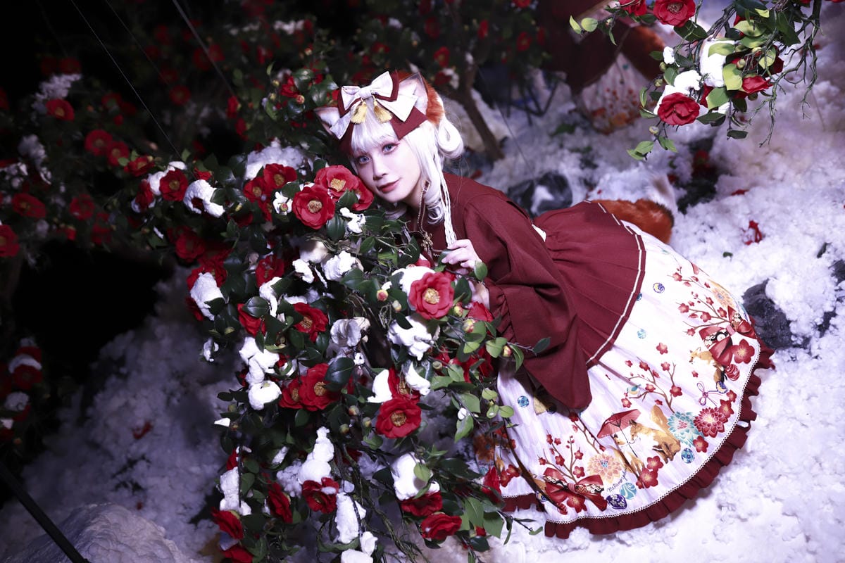 雪中椿花 雪中椿花