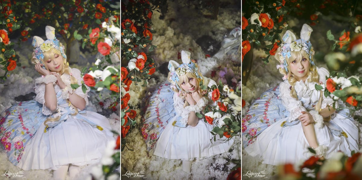 雪中椿花 雪中椿花
