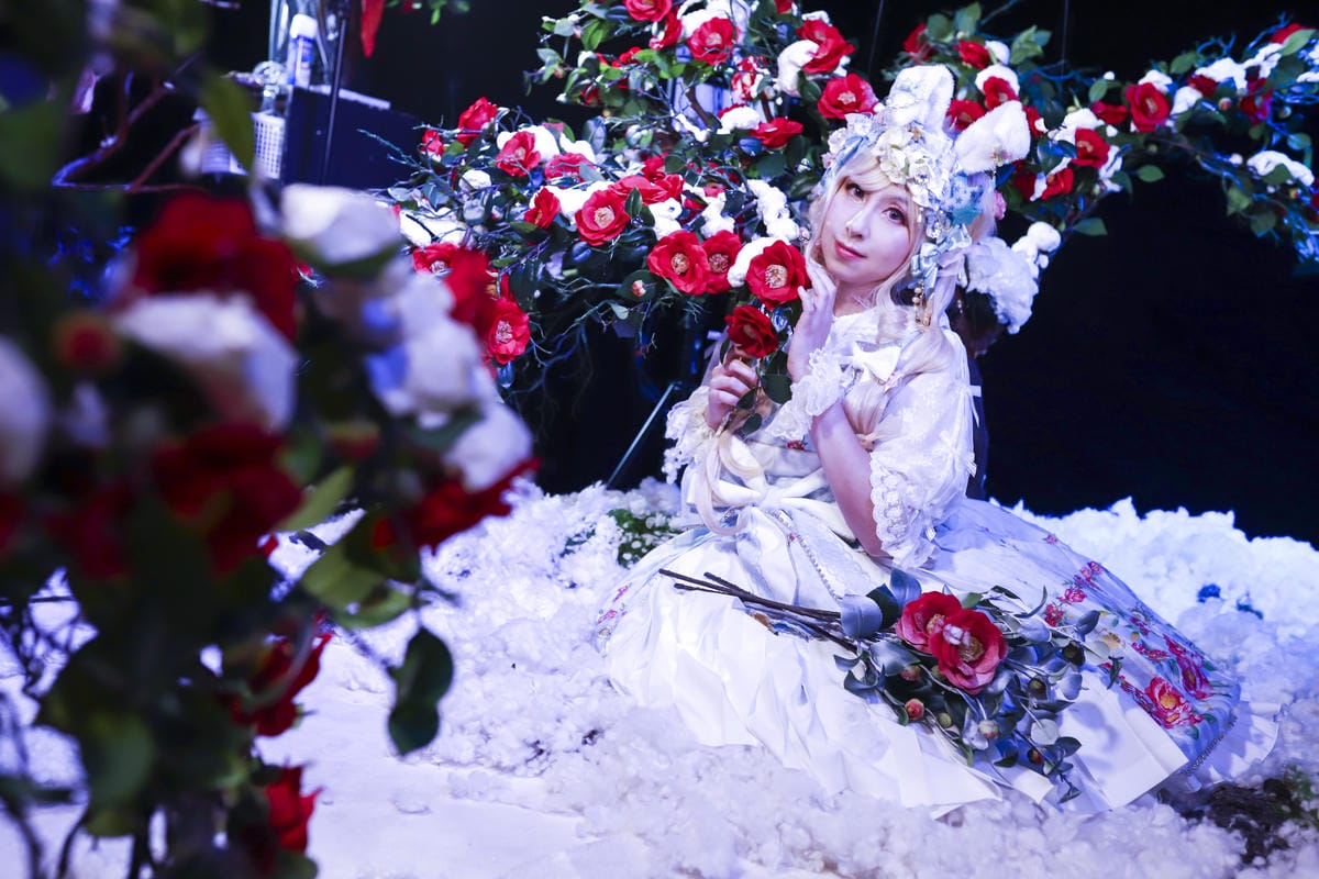 雪中椿花 雪中椿花