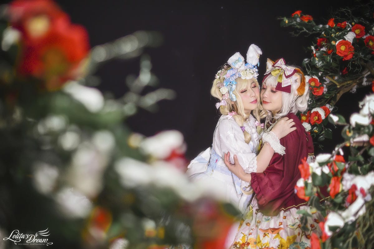 雪中椿花 雪中椿花