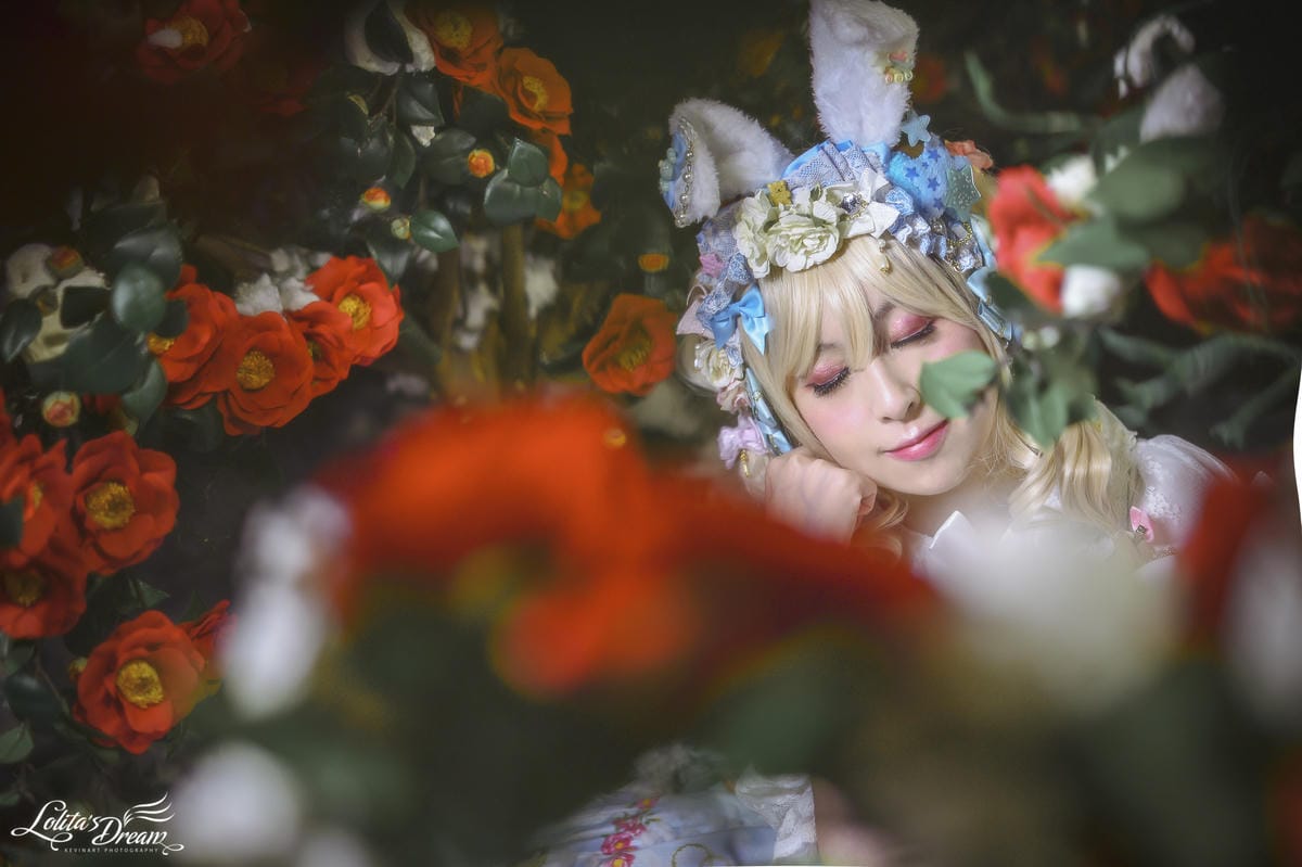 雪中椿花 雪中椿花