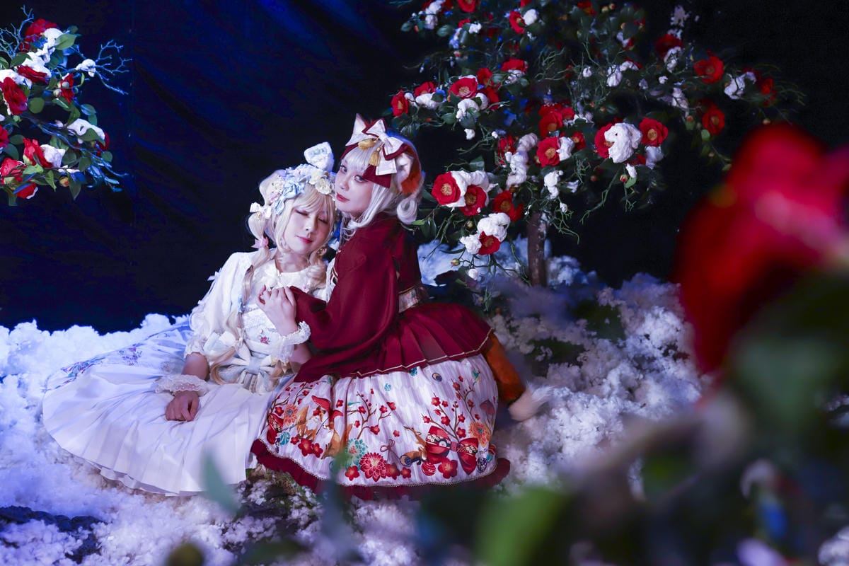 雪中椿花 雪中椿花
