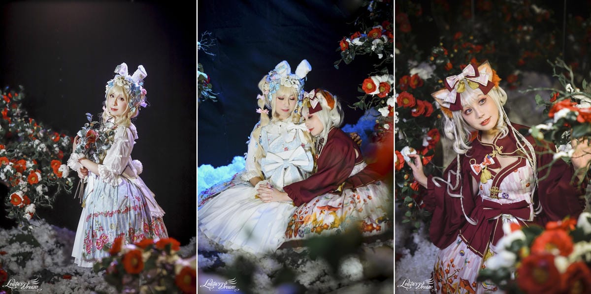 雪中椿花 雪中椿花