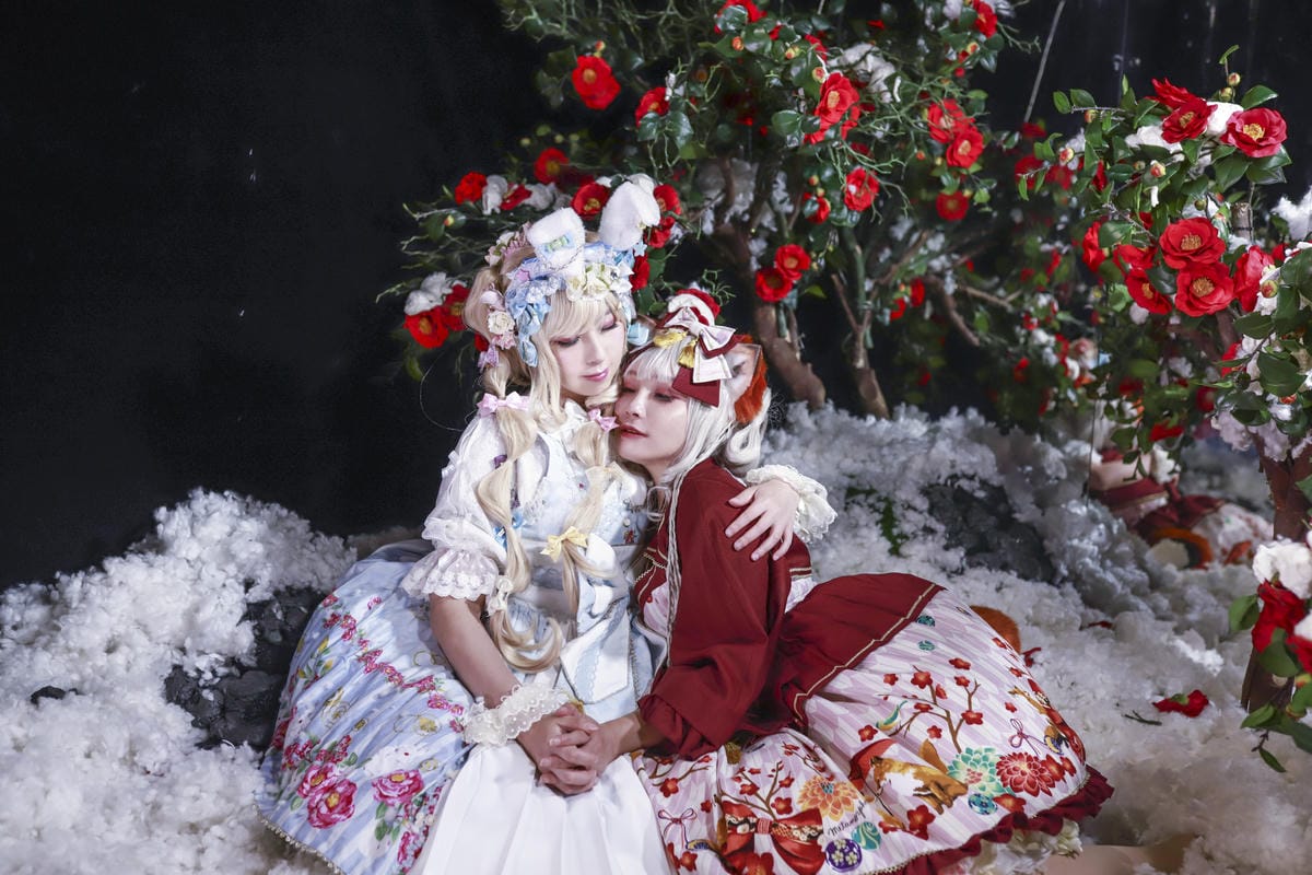 雪中椿花 雪中椿花