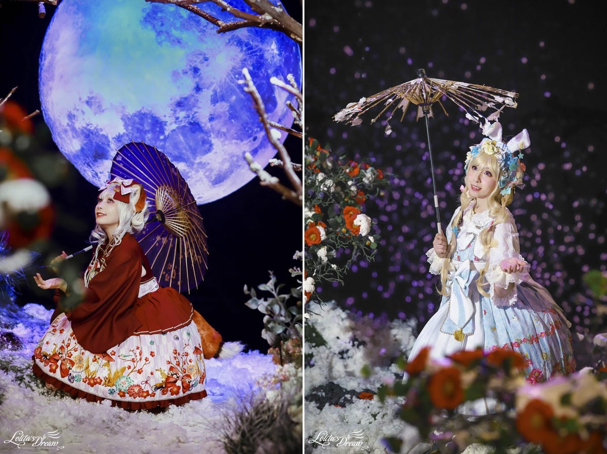 雪中椿花 雪中椿花