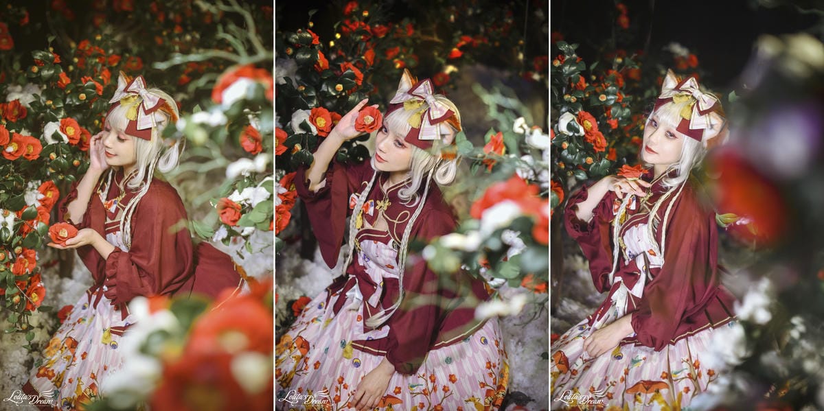 雪中椿花 雪中椿花