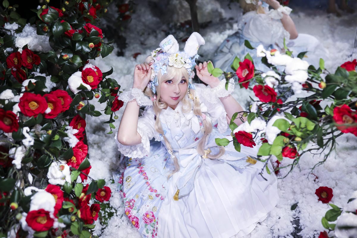 雪中椿花 雪中椿花