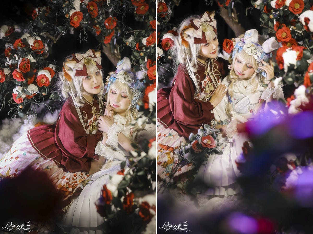 雪中椿花 雪中椿花