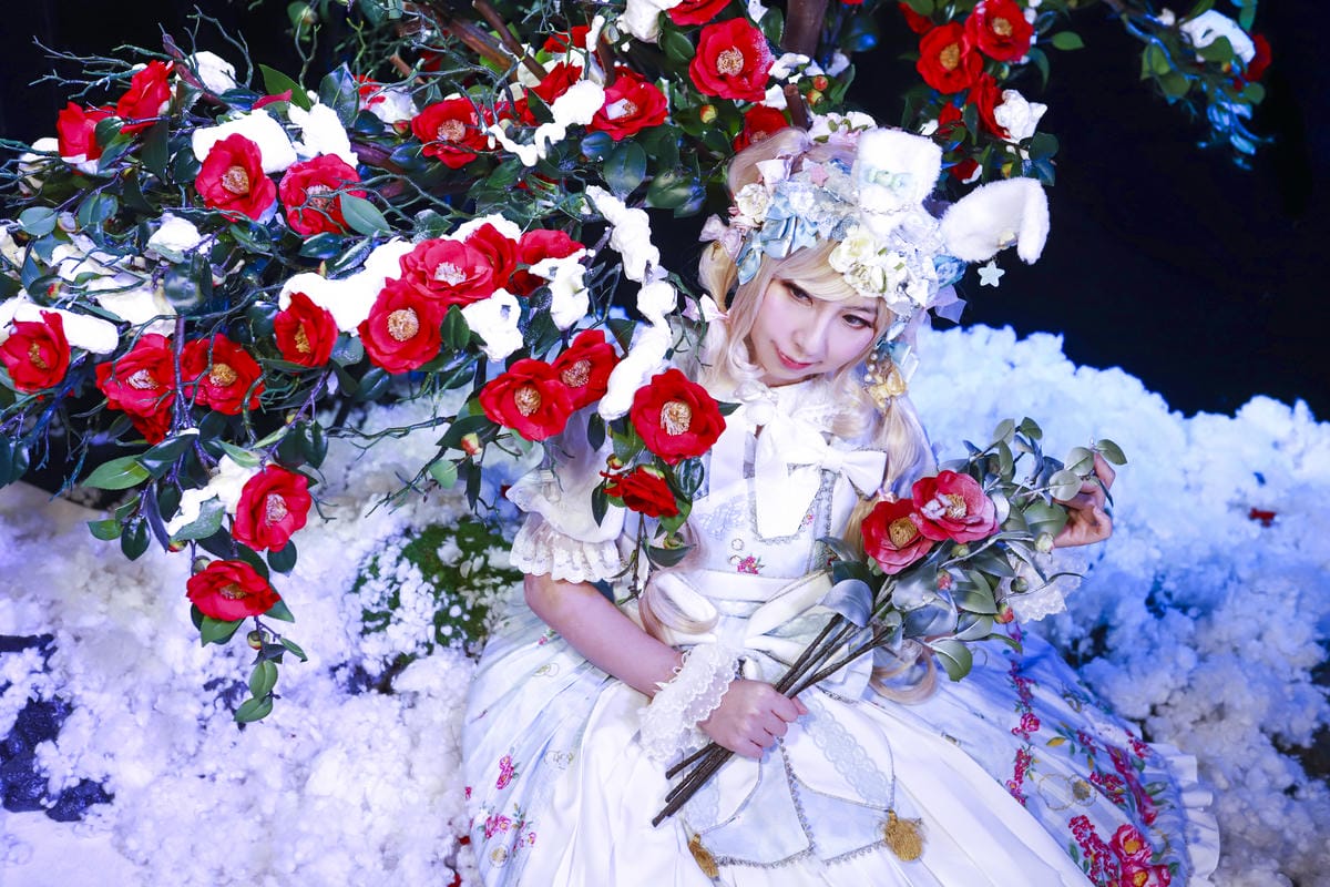 雪中椿花 雪中椿花