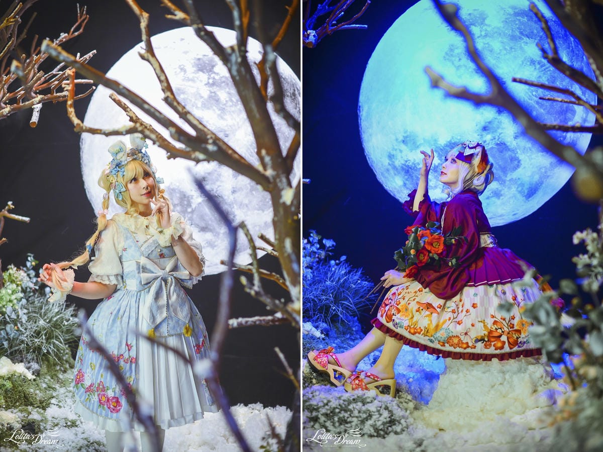 雪中椿花 雪中椿花