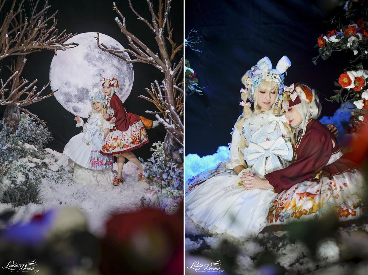 雪中椿花 雪中椿花
