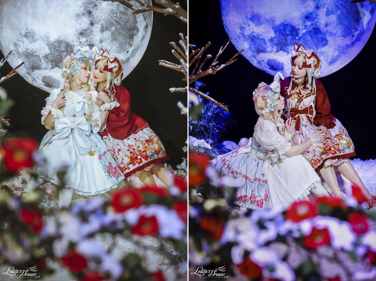 雪中椿花 雪中椿花