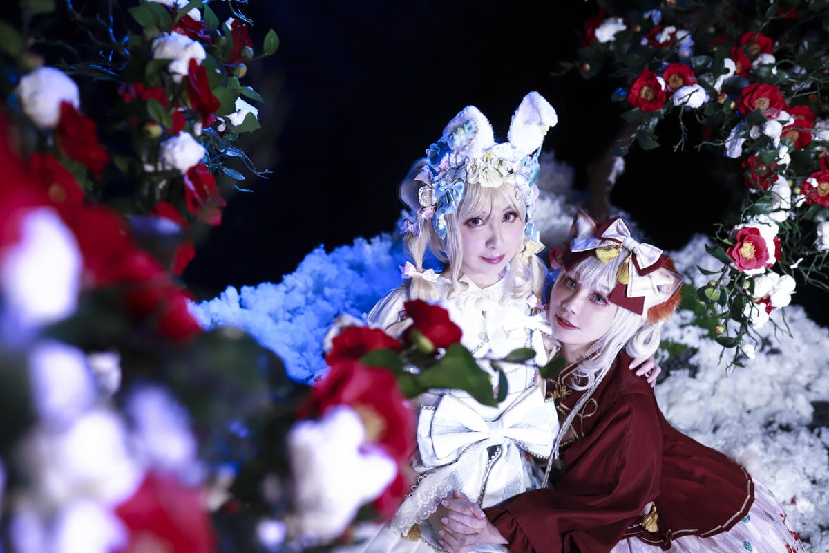 雪中椿花 雪中椿花