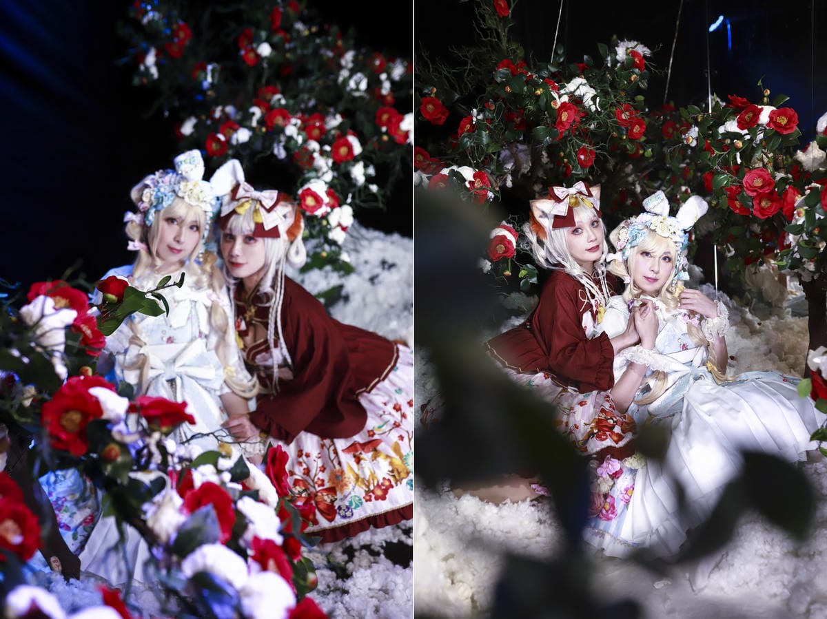 雪中椿花 雪中椿花