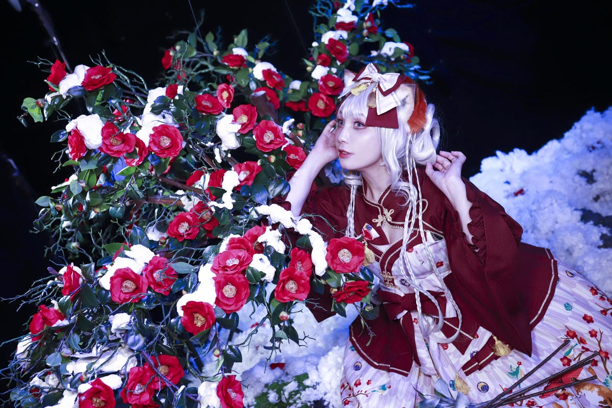 雪中椿花 雪中椿花