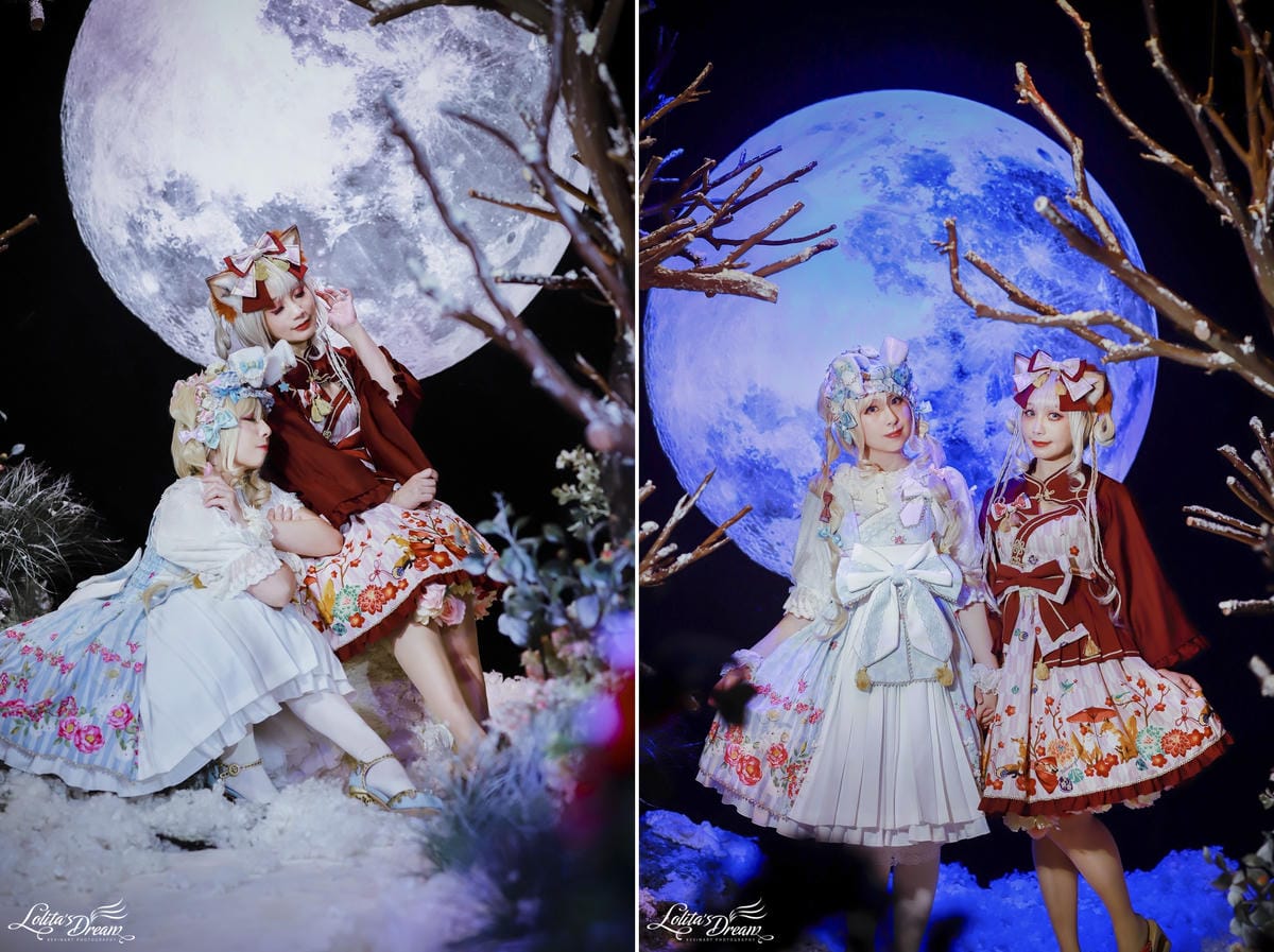 雪中椿花 雪中椿花