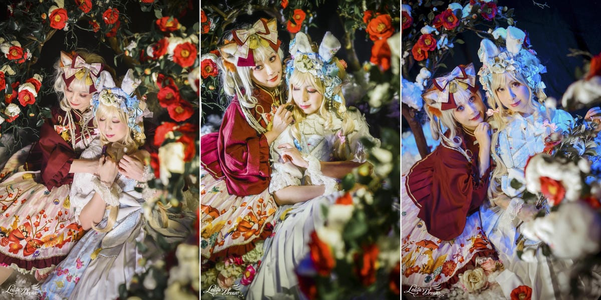 雪中椿花 雪中椿花