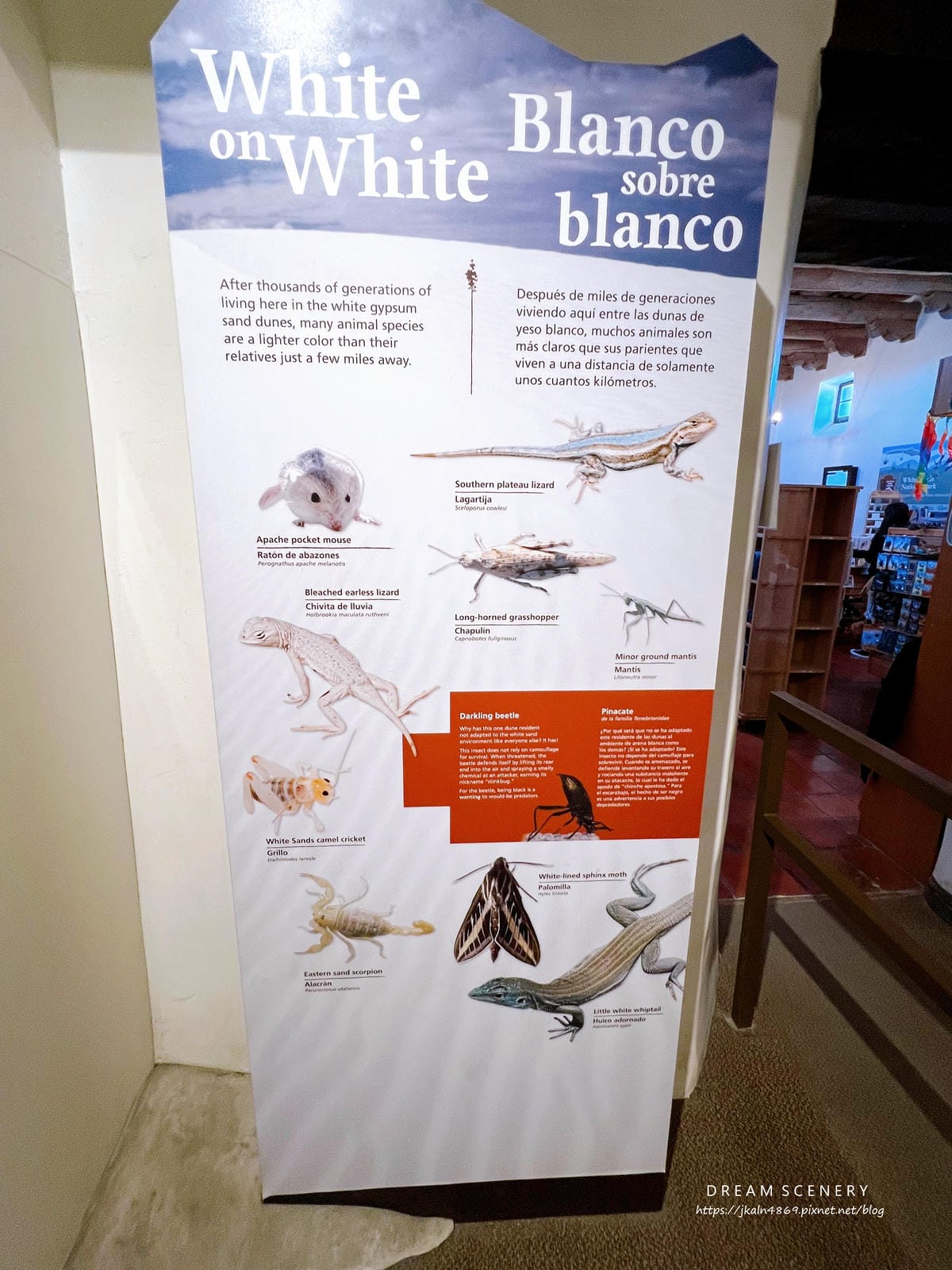 白沙國家公園 White Sands National Park 白沙國家公園 White Sands National Park