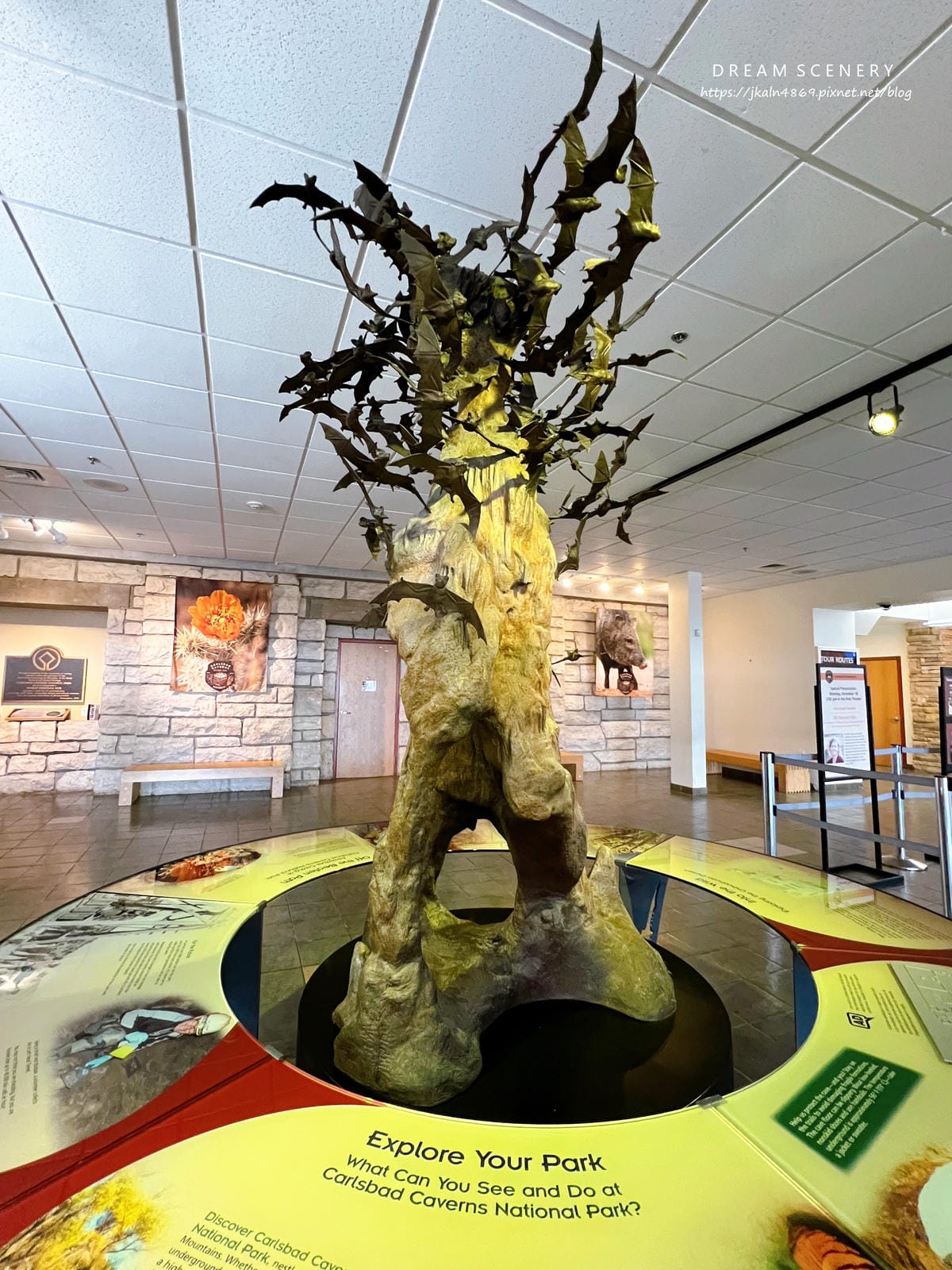 卡爾斯巴德洞窟國家公園 Carlsbad Caverns National Park 卡爾斯巴德洞窟國家公園 Carlsbad Caverns National Park