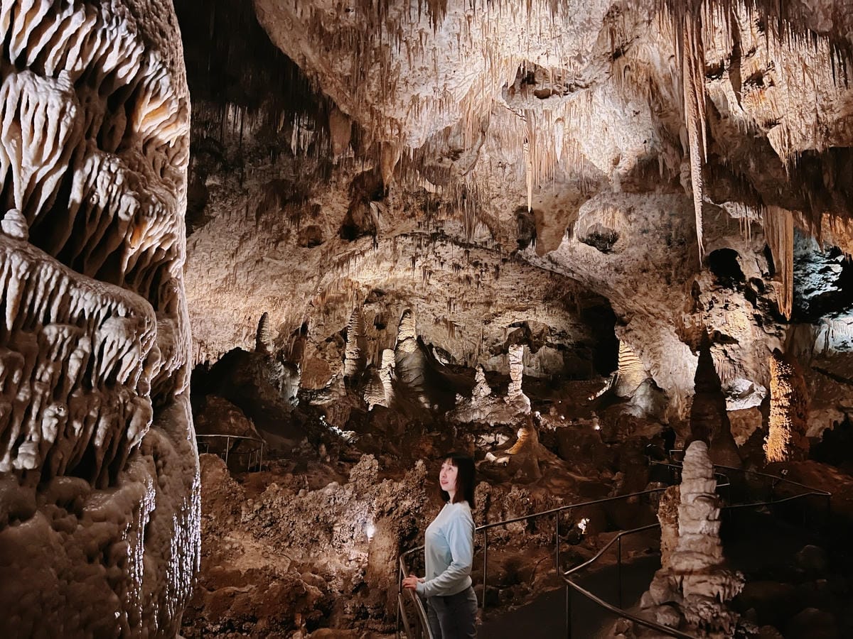 卡爾斯巴德洞窟國家公園 Carlsbad Caverns National Park 卡爾斯巴德洞窟國家公園 Carlsbad Caverns National Park