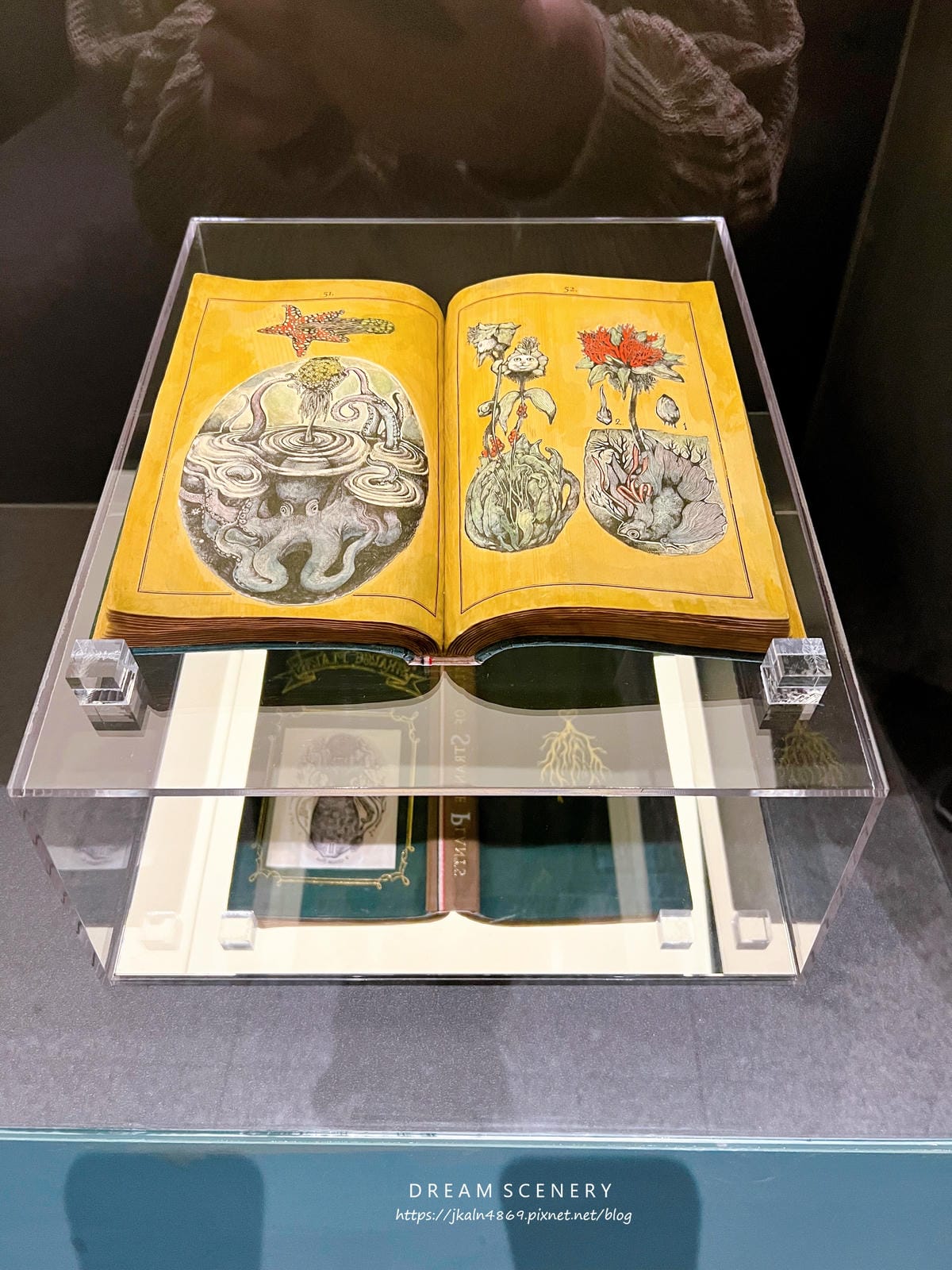 奇幻動物森林 樋口裕子展 奇幻動物森林 樋口裕子展