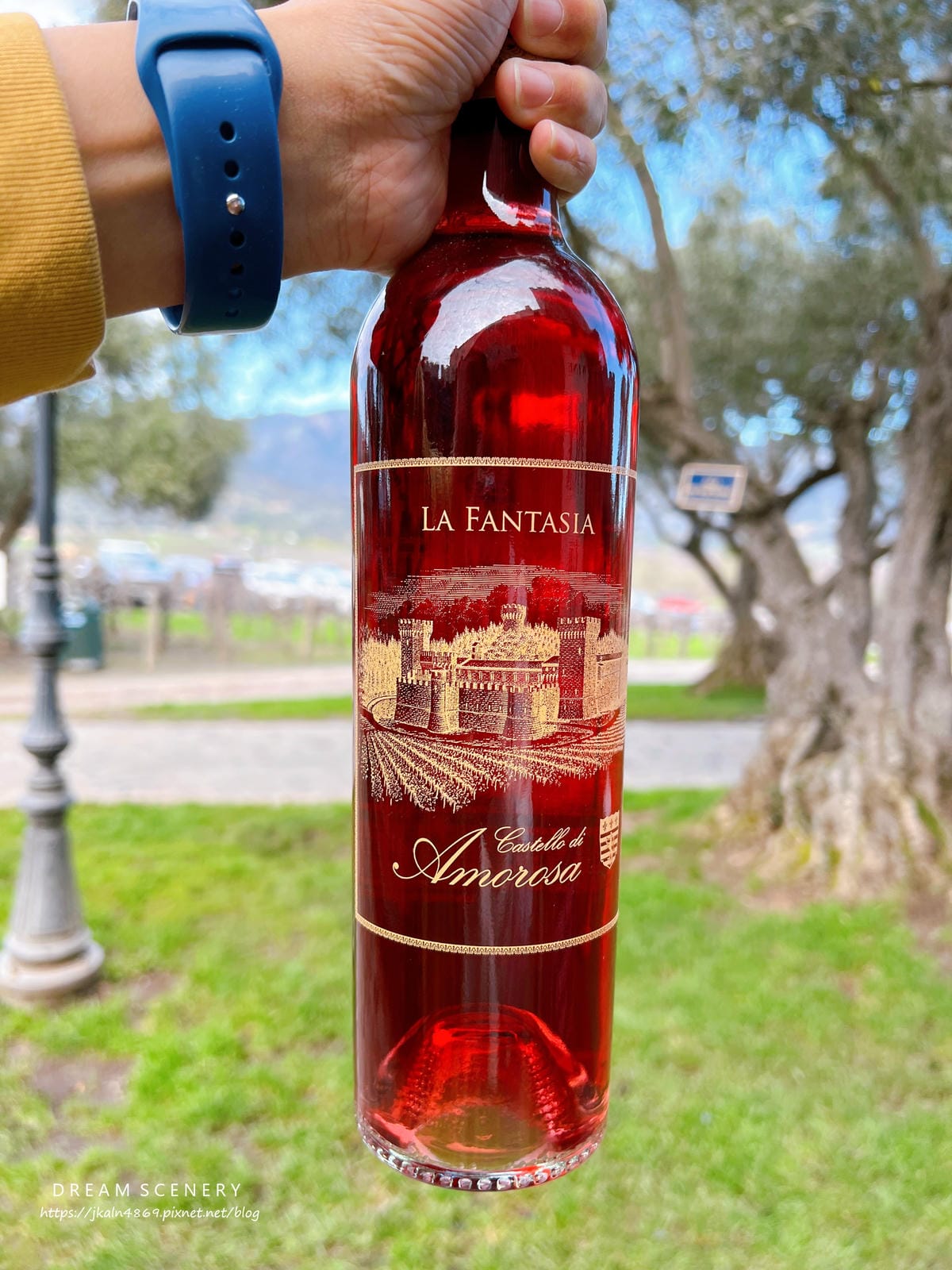 【美國-Calistoga】世界知名酒鄉之一的Napa│ N