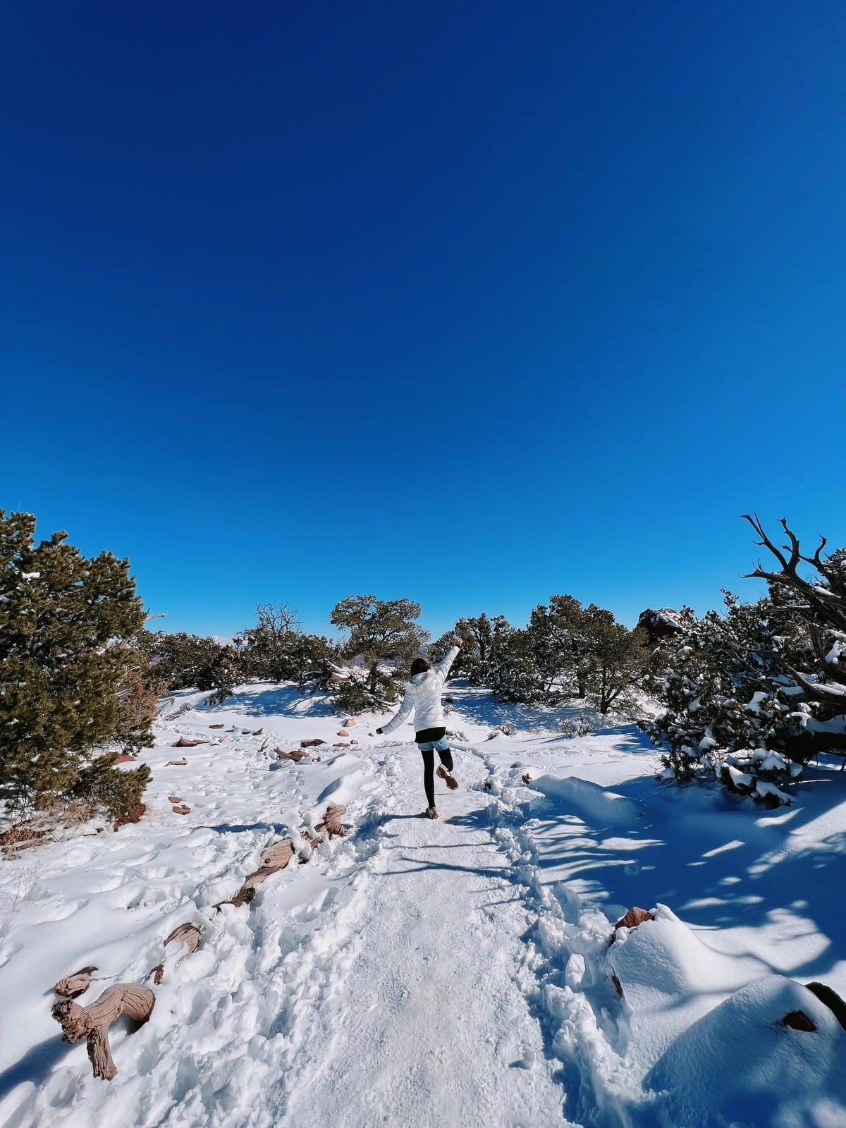 峽谷地國家公園 (Canyonlands National Park) 峽谷地國家公園 (Canyonlands National Park)