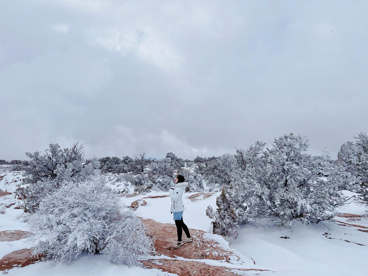 峽谷地國家公園 (Canyonlands National Park) 峽谷地國家公園 (Canyonlands National Park)