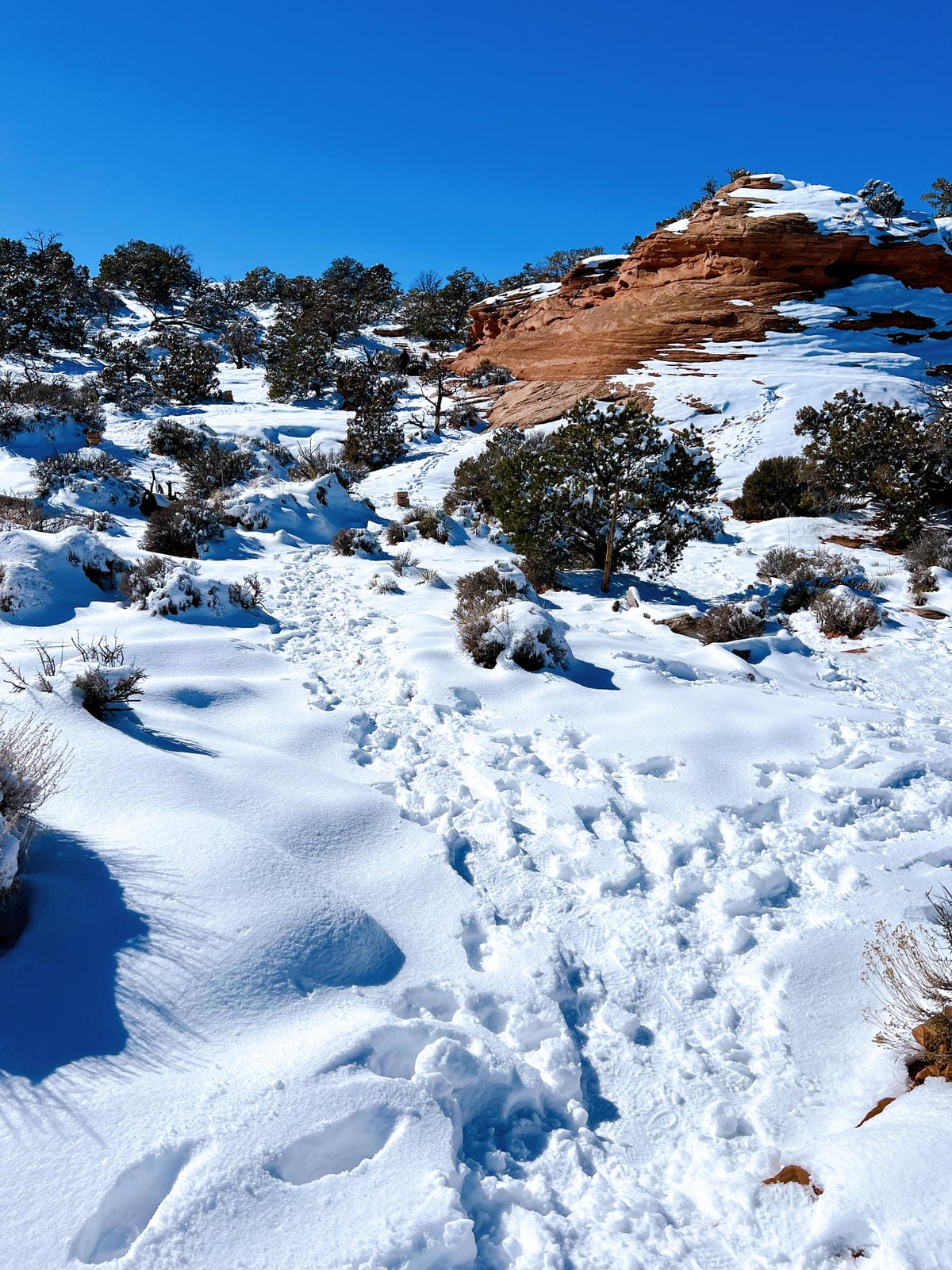 峽谷地國家公園 (Canyonlands National Park) 峽谷地國家公園 (Canyonlands National Park)