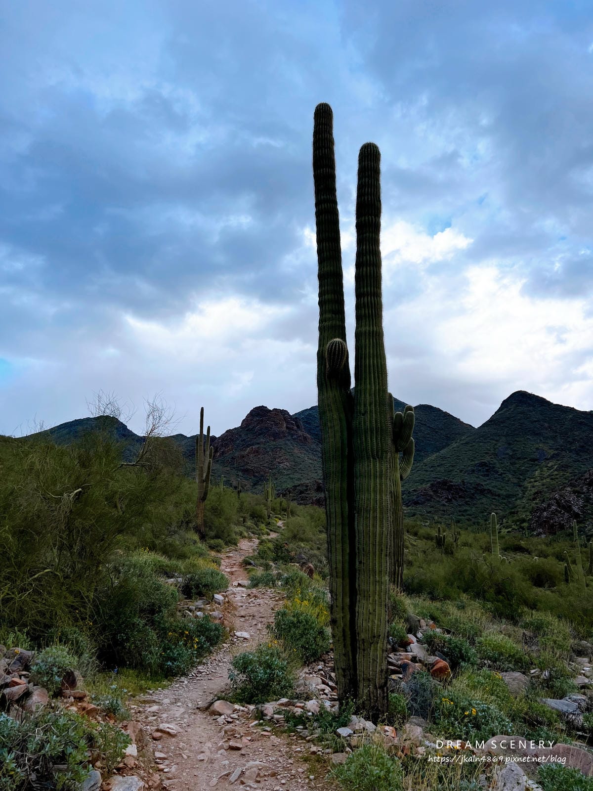 【美國-Arizona】假日健行趣│中等難度步道│Gatew 【美國-Arizona】假日健行趣│中等難度步道│Gatew