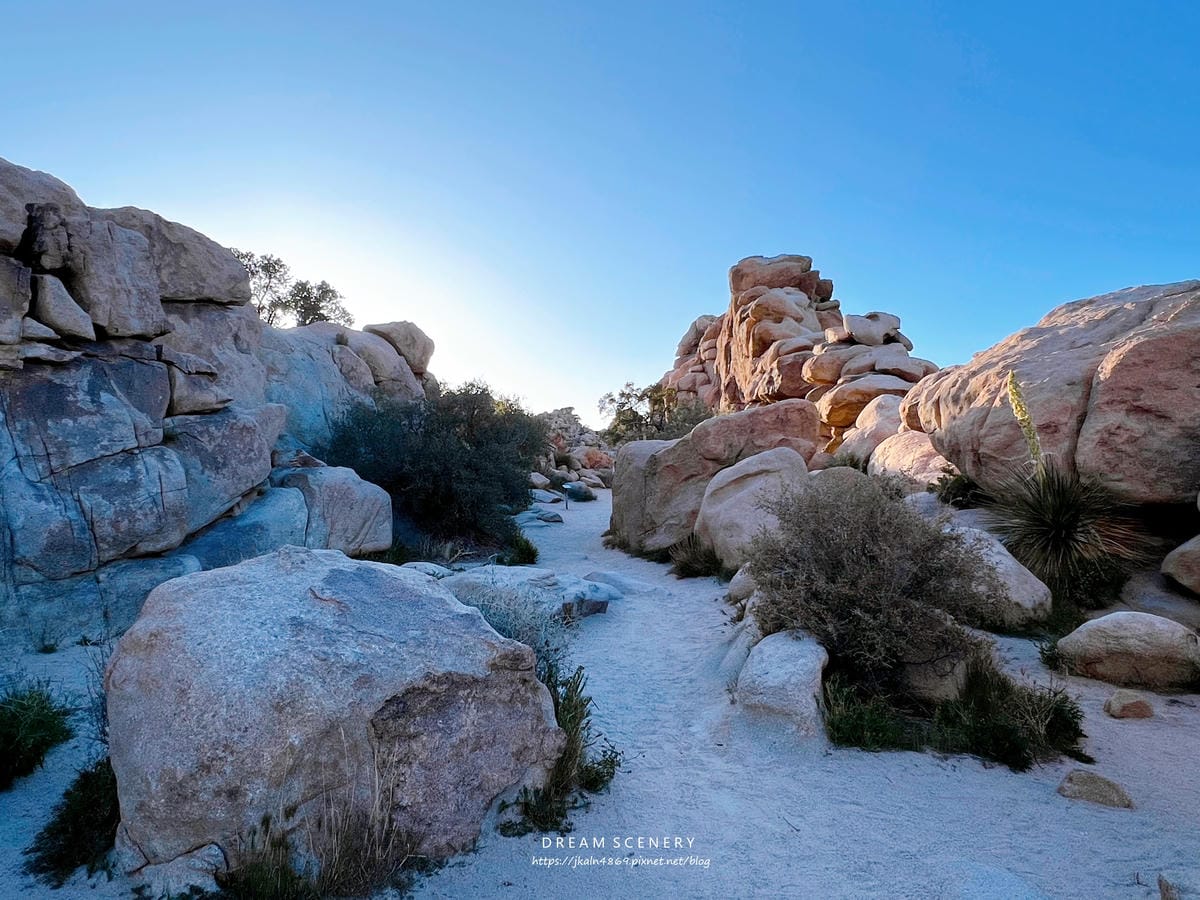 【美國-California】南加州美國國家公園│約書亞樹國 【美國-California】南加州美國國家公園│約書亞樹國