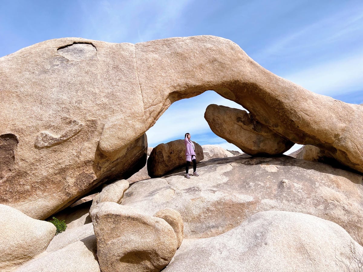【美國-California】南加州美國國家公園│約書亞樹國 【美國-California】南加州美國國家公園│約書亞樹國