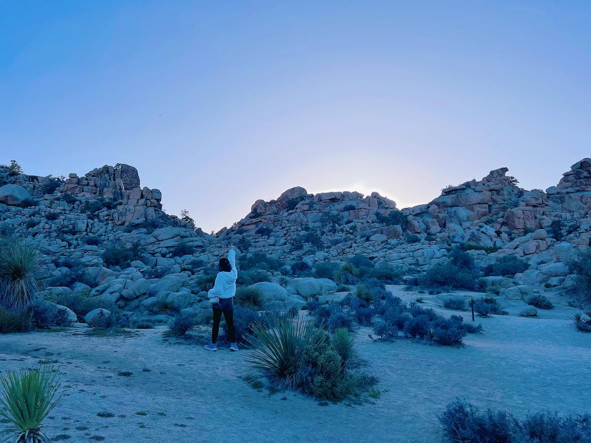 【美國-California】南加州美國國家公園│約書亞樹國 【美國-California】南加州美國國家公園│約書亞樹國